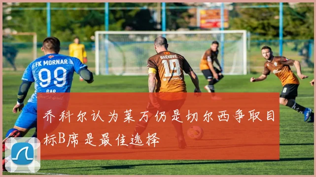 乔科尔认为莱万仍是切尔西争取目标B席是最佳选择