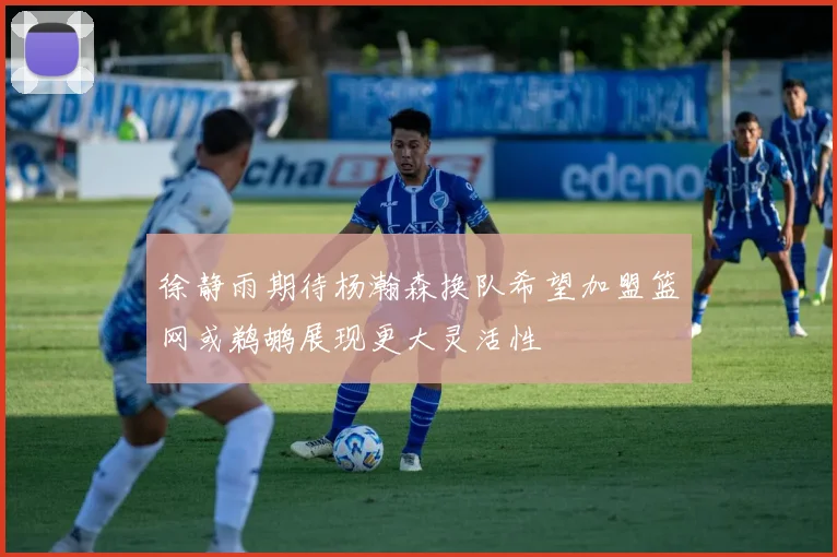 徐静雨期待杨瀚森换队希望加盟篮网或鹈鹕展现更大灵活性