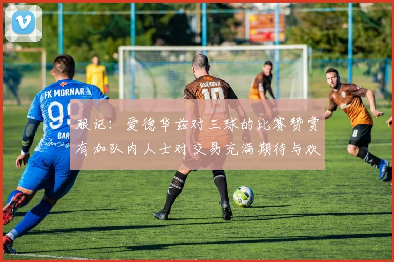 狼记：爱德华兹对三球的比赛赞赏有加队内人士对交易充满期待与欢欣